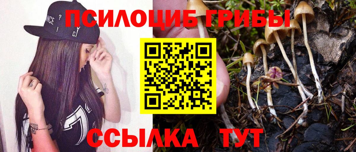 Псилоцибиновые грибы прущие грибы  Вход с VPN  Галлюциногенные грибы Psilocybine cubensis  цены   Нягань 