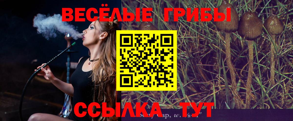 Псилоцибиновые грибы MAGIC MUSHROOMS Нягань